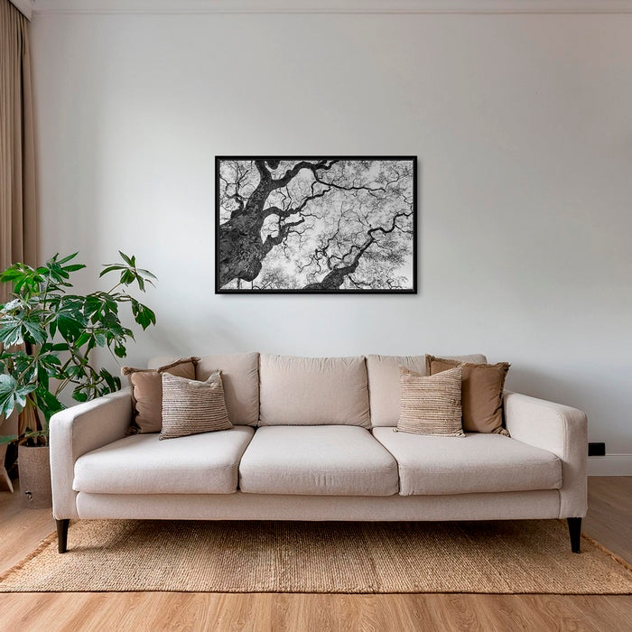 Graphisme d'arbre 3
