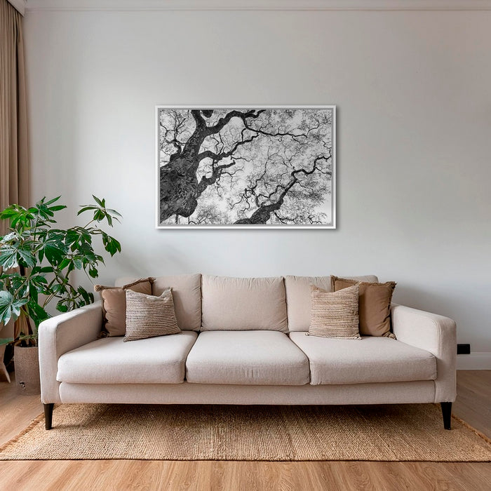 Graphisme d'arbre 3