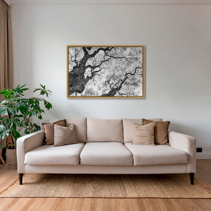 Graphisme d'arbre 3