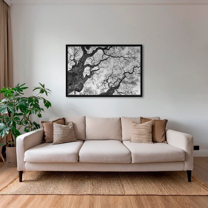 Graphisme d'arbre 3
