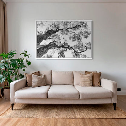 Graphisme d'arbre 4