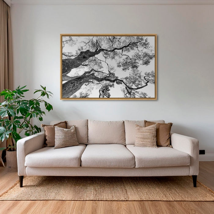 Graphisme d'arbre 4