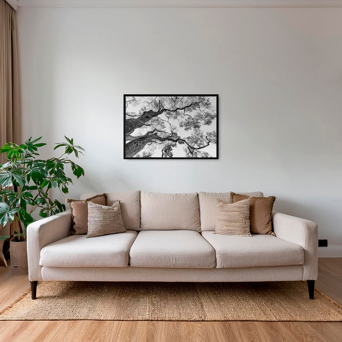 Graphisme d'arbre 4