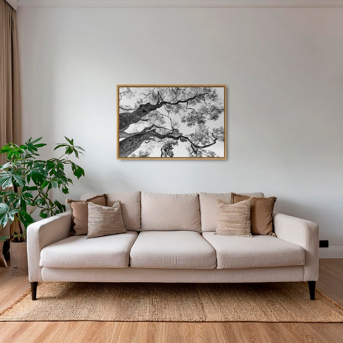 Graphisme d'arbre 4