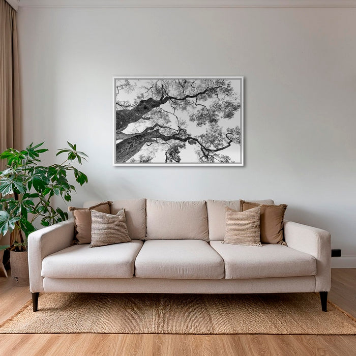 Graphisme d'arbre 4
