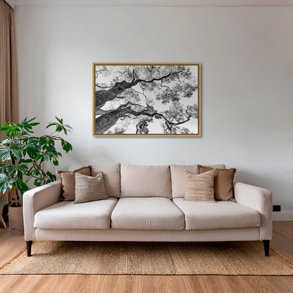 Graphisme d'arbre 4