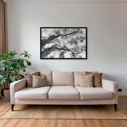 Graphisme d'arbre 4