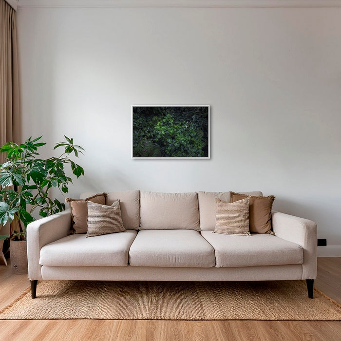 Tableau tropical