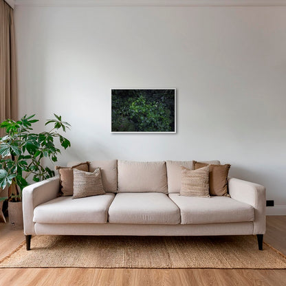 Tableau tropical