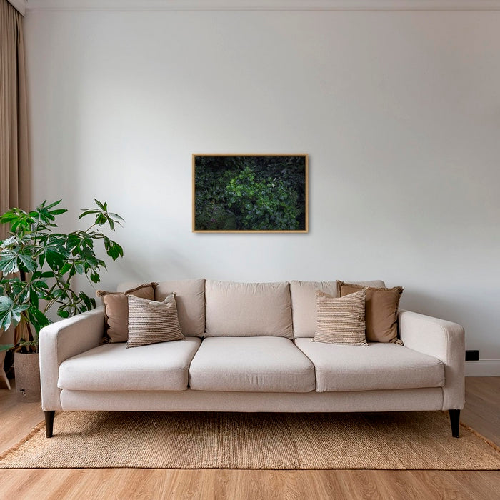 Tableau tropical