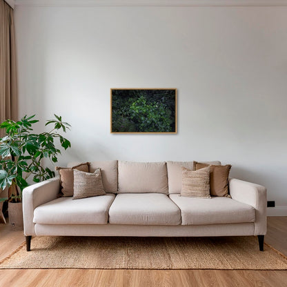 Tableau tropical