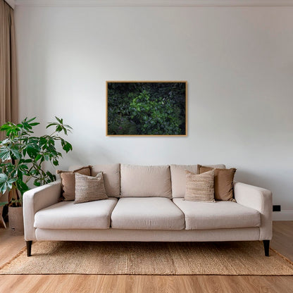 Tableau tropical