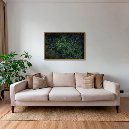 Tableau tropical