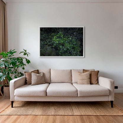 Tableau tropical