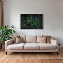 Charger l&#39;image dans la galerie, Tableau tropical
