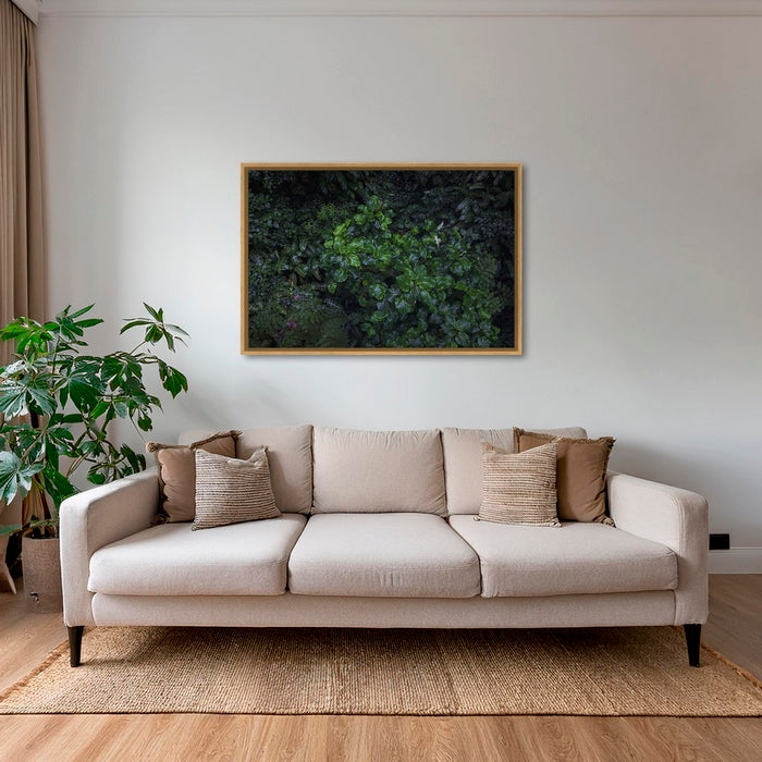 Tableau tropical