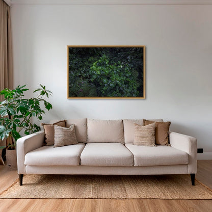 Tableau tropical