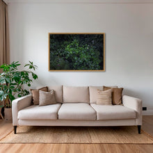 Charger l&#39;image dans la galerie, Tableau tropical
