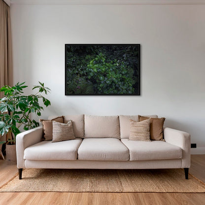 Tableau tropical