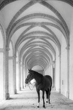 Charger l&#39;image dans la galerie, Cheval cloîtré 6
