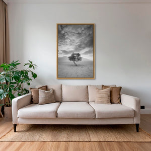 Arbre de vie 2