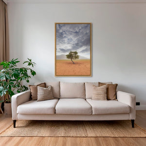 Arbre de vie