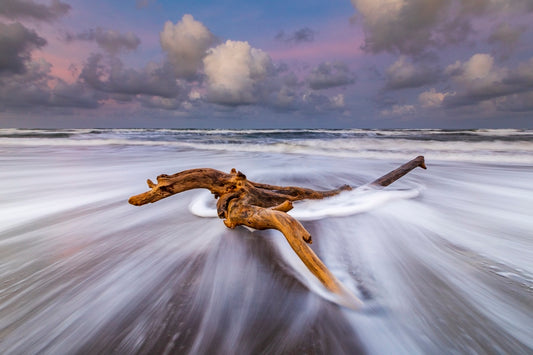 Le naufragé de Tortuguero 2