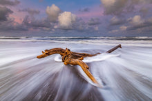 Charger l&#39;image dans la galerie, Le naufragé de Tortuguero 2
