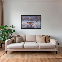 Charger l&#39;image dans la galerie, Le naufragé de Tortuguero 2
