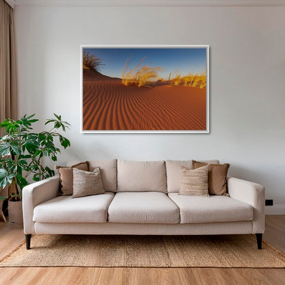 Herbes du Namib