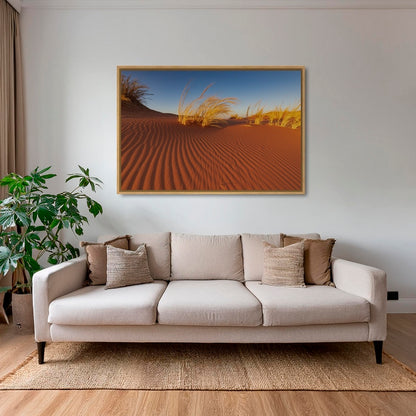Herbes du Namib