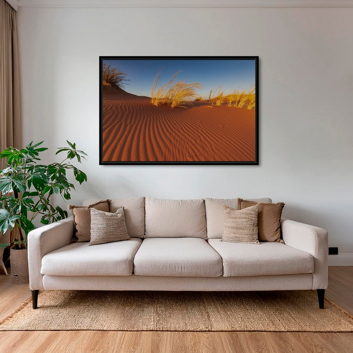 Herbes du Namib