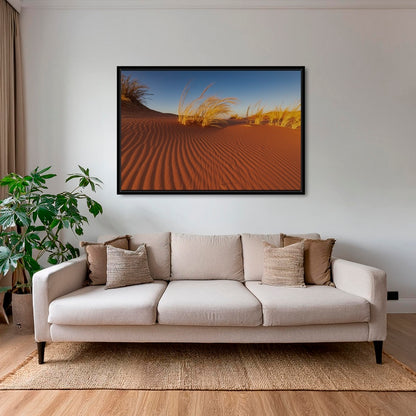 Herbes du Namib