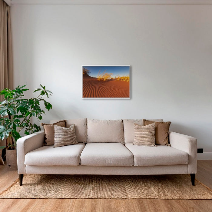 Herbes du Namib