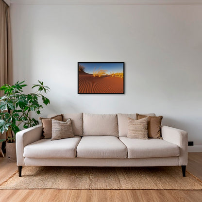 Herbes du Namib
