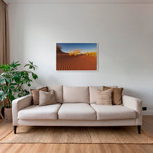 Charger l&#39;image dans la galerie, Herbes du Namib
