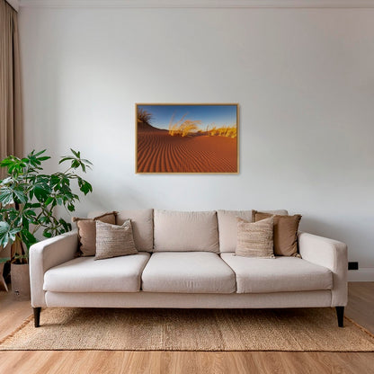 Herbes du Namib