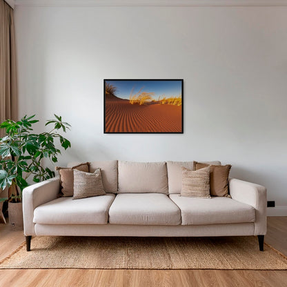 Herbes du Namib
