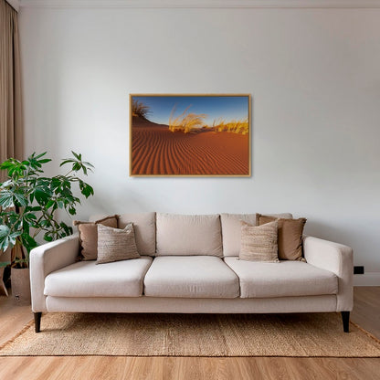 Herbes du Namib
