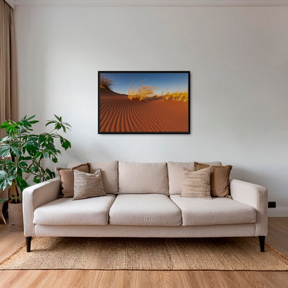 Herbes du Namib