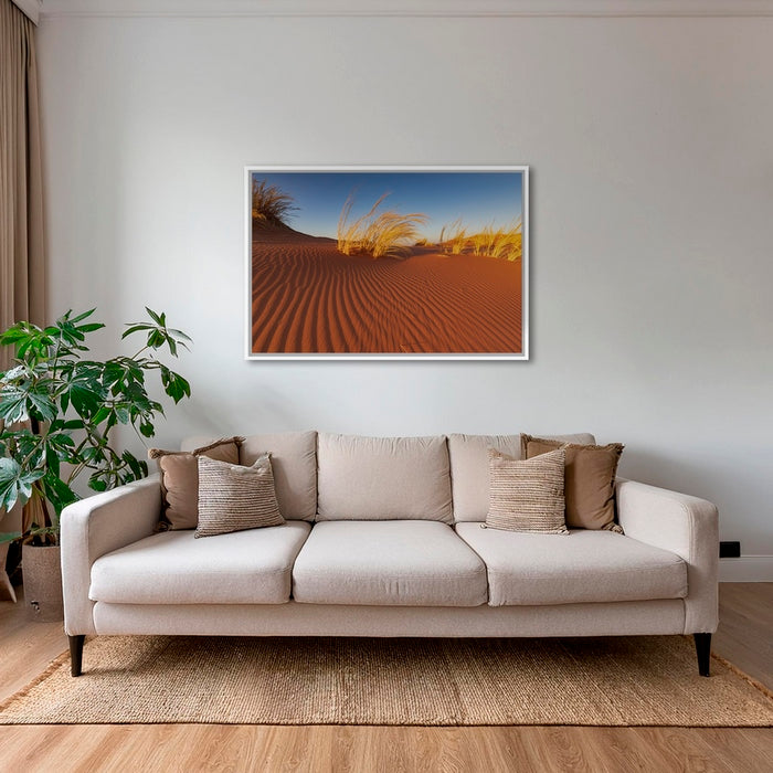 Herbes du Namib