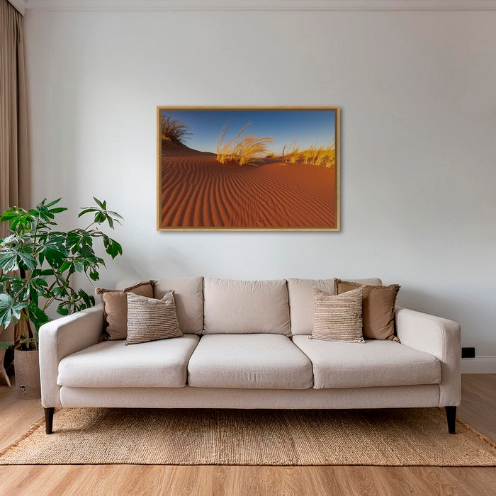 Herbes du Namib