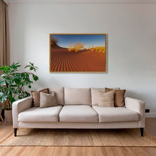 Charger l&#39;image dans la galerie, Herbes du Namib
