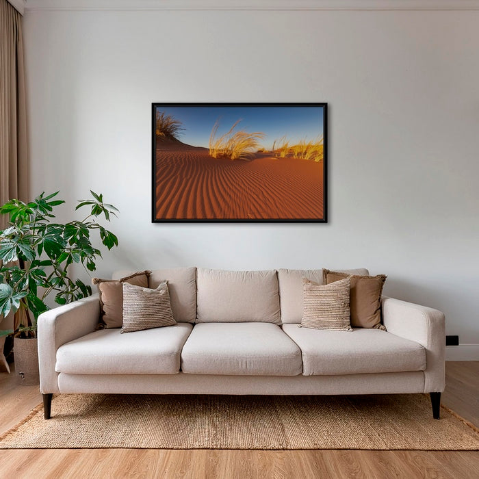 Herbes du Namib