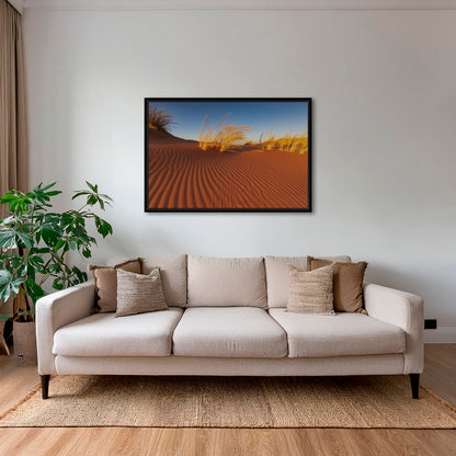 Herbes du Namib