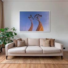 Charger l&#39;image dans la galerie, Dicotoma tortueux
