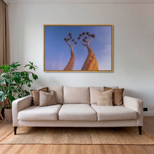 Charger l&#39;image dans la galerie, Dicotoma tortueux
