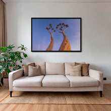 Charger l&#39;image dans la galerie, Dicotoma tortueux
