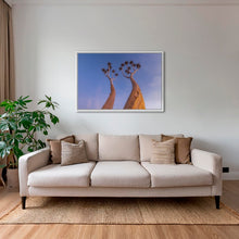 Charger l&#39;image dans la galerie, Dicotoma tortueux
