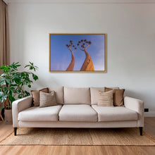 Charger l&#39;image dans la galerie, Dicotoma tortueux
